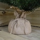 image 7 of 3ft (90cm) Mini Plain Green PVC Christmas Tree in a Jute Bag