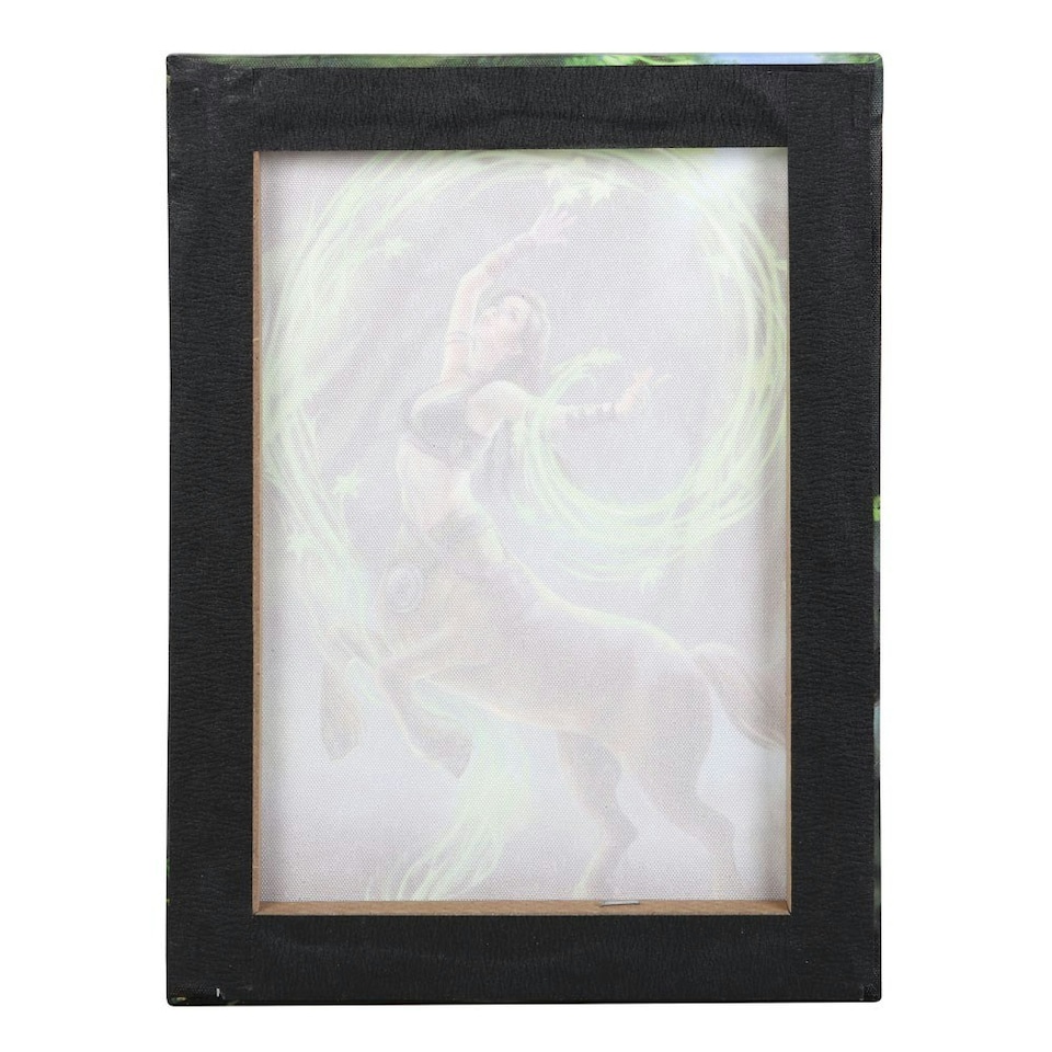 image 1 of Anne Stokes Earth Elemental Sorceress Canvas Plaque - Green/Black/Brown - 25cm x 19cm