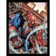 image 1 of Spider-Man (Shooting) Framed 30x40cm Print