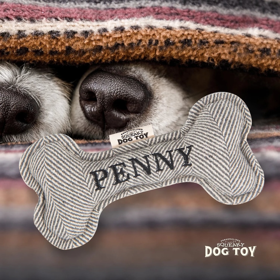 image 1 of History & Heraldry Pre-Personalised Squeaky Bone Dog Toy - Penny