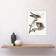 image 4 of Red Shouldered Hawk Audubon Nature Wall Art Poster Print 12X16"