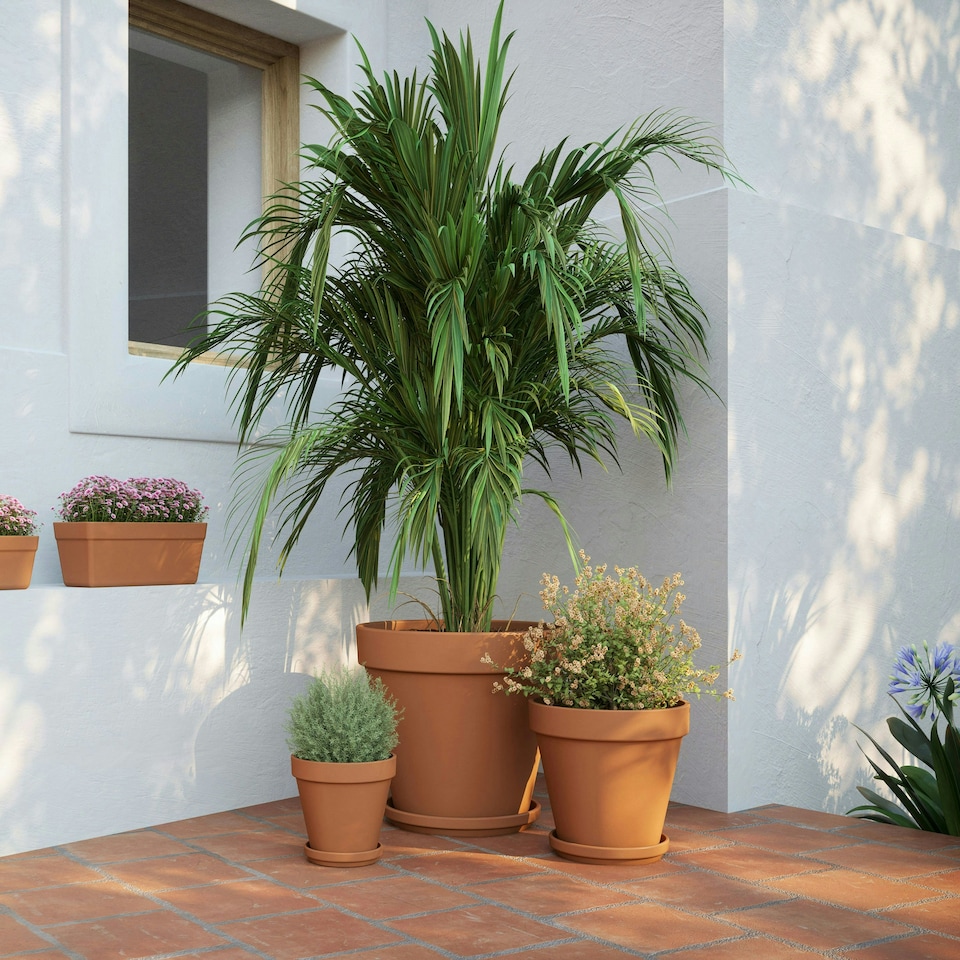 image 1 of APTA Verona 15cm Pots with Saucers (Set of 4) - Rustic Indoor & Outdoor Decor