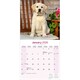 image 3 of Yellow Labrador Retriever 2026 Calendar | Square Wall Calendar | Dog Breed Gift | Plastic Free Packaging | by Avonside Publishing