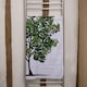 image 2 of Tree Designer Bath Towel | Multi
