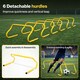 image 5 of Centra  Football Training Equipment Pro Agility Speed Ladder Cones Hurdle Style