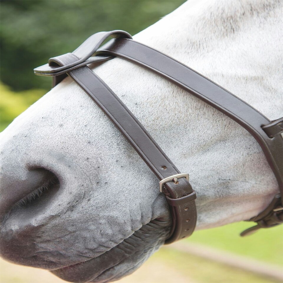 image 1 of Shires Blenheim Flash Strap Brown | Size: Pony
Colour: H.Brown