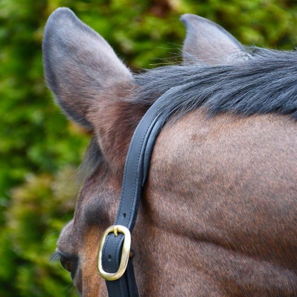 image 1 of Rhinegold Bellagio Leather Headcollar Brass Clincher Brown | Size: Cob
Colour: H.Brown