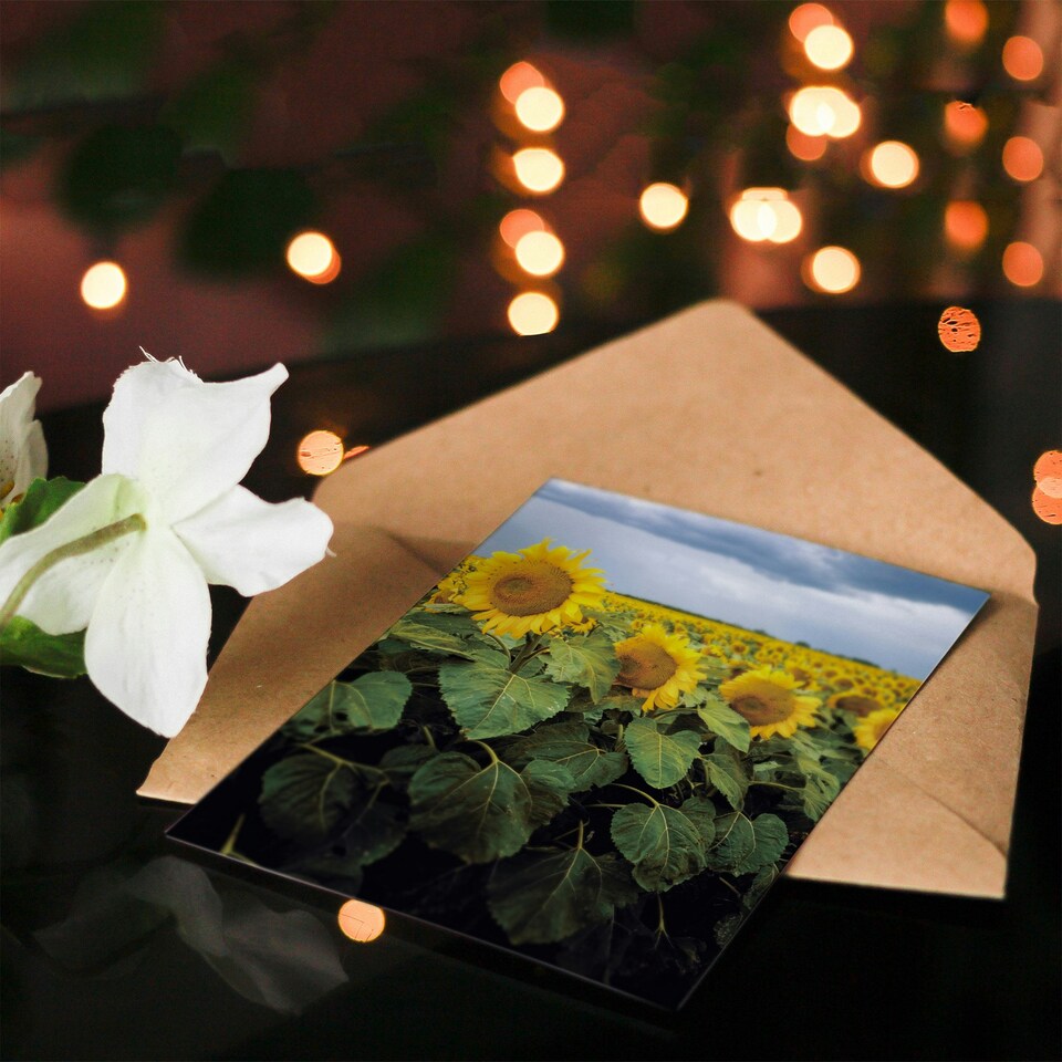 image 1 of Carol M Highsmith Art Card A Kansas Sunflower Field Up Close