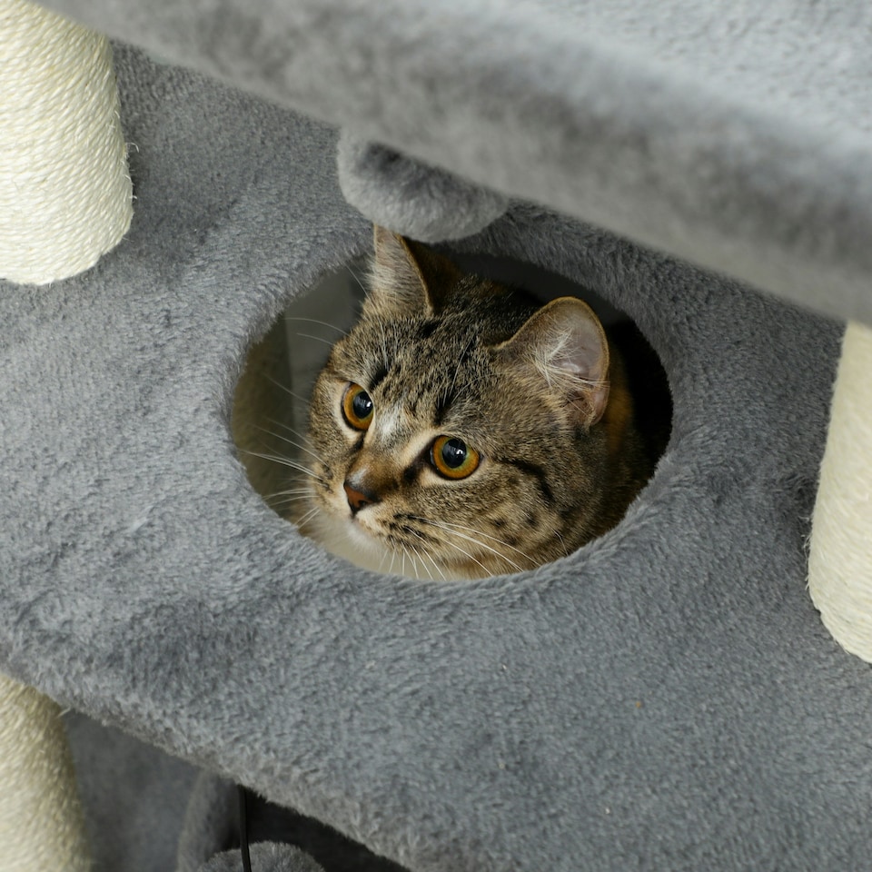 image 1 of PawHut Cat Tree Kitten Tower with Scratching Post Bed Perch Toy, Light Grey