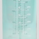 image 4 of Phoenix Fitness Motivational Water Bottle - Sage