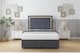 image 1 of Sloomy Sofia Gold Steel Plush Divan Bed With Mattress 2 Drawers Footend With 26" Strutted Headboard & 12" Matching Footboard 4'6 Double | Grey | Steel | Double | 1