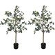 image 1 of HOMCOM Set of 2 Decorative Artificial Tree, 4ft 120cm Silk Eucalyptus Trees with 230 Silver Dollar Leaves in Pot, Fake Plants for Home, Office, Living Room, Indoor Decor | Green