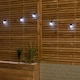 image 2 of Set of 20 Indoor Outdoor Connectable Party Festoon Lights with Cool White LEDs