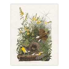 Meadowlark Bird False Foxglove Audubon Huge Wall Art Poster Print 24X32"
