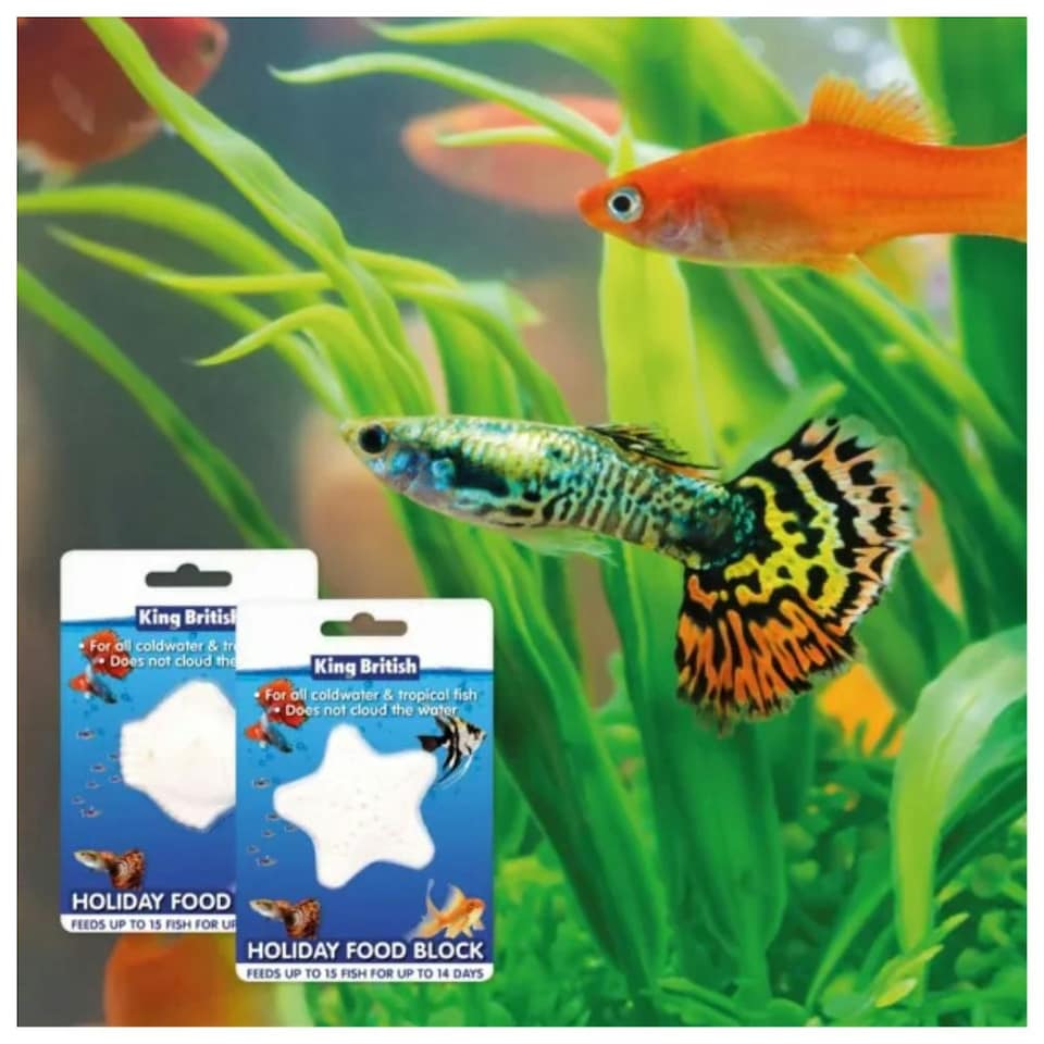 image 1 of King British Holiday Food Block 16g