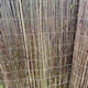 image 9 of Willow Garden Privacy Screening Fence Roll (4m x 1.6m)