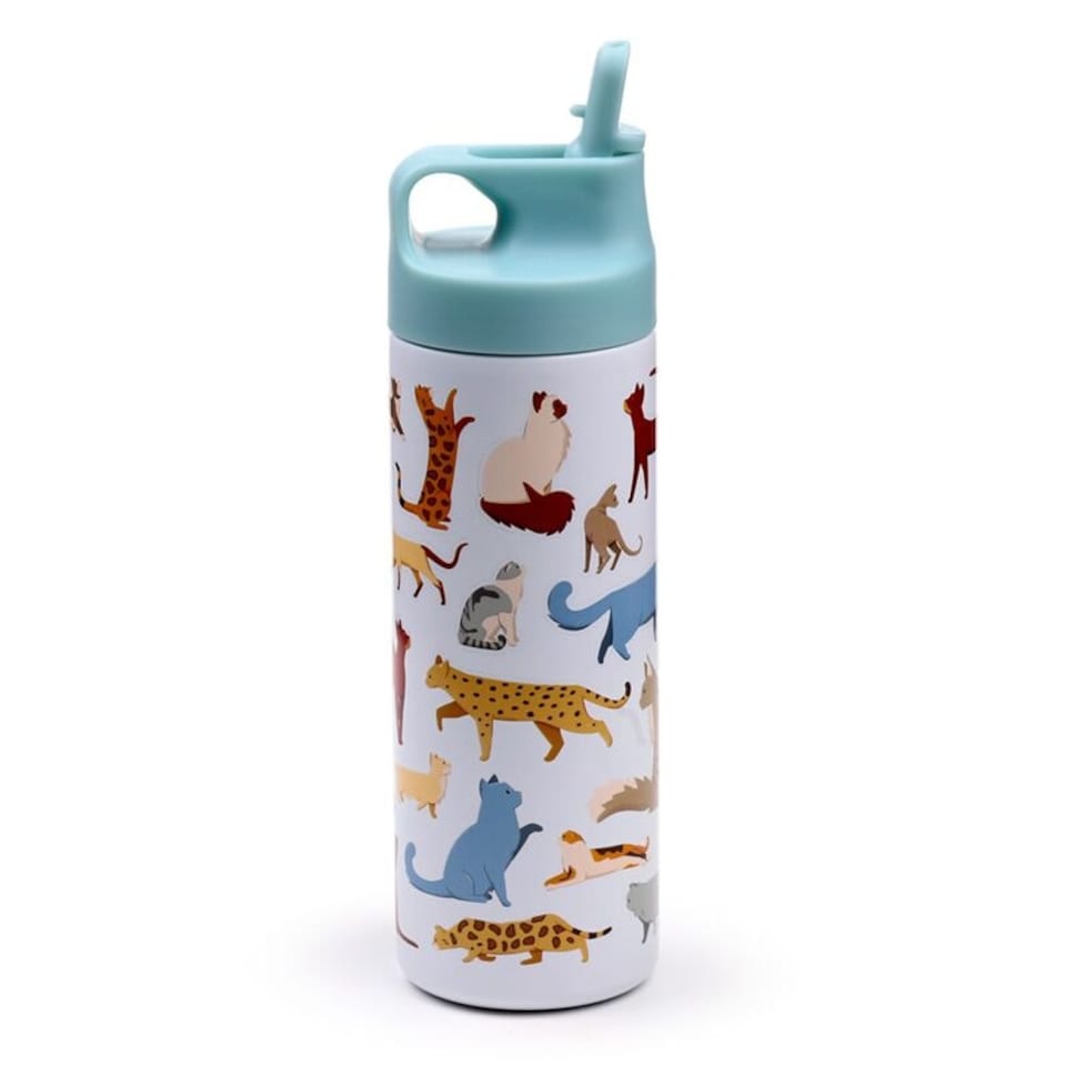 image 1 of Feline Fine Cats Hot & Cold Flip Top Drinks Bottle 500ml