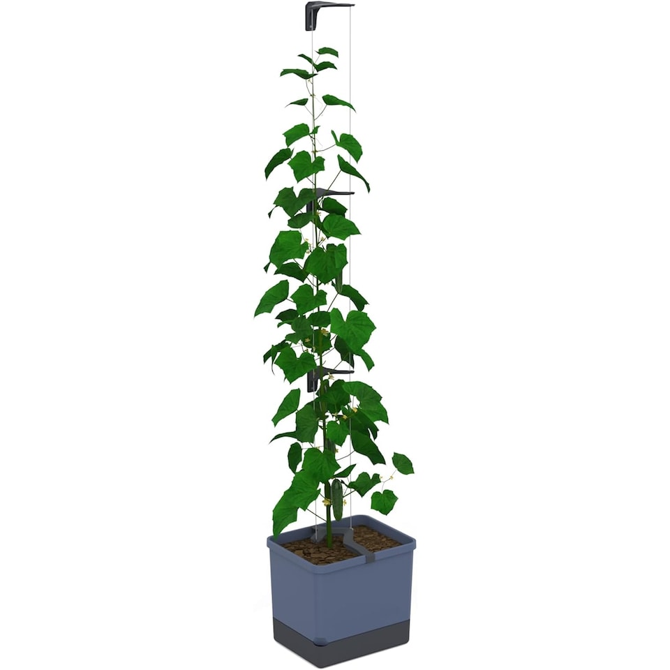 image 1 of GUSTA GARDEN Curt Cucumber Pot - Plant Pot with Trellis for Cucumber Irrigation System (Blue)