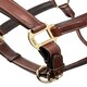 image 6 of LeMieux Stitched Leather Headcollar Brown | Full