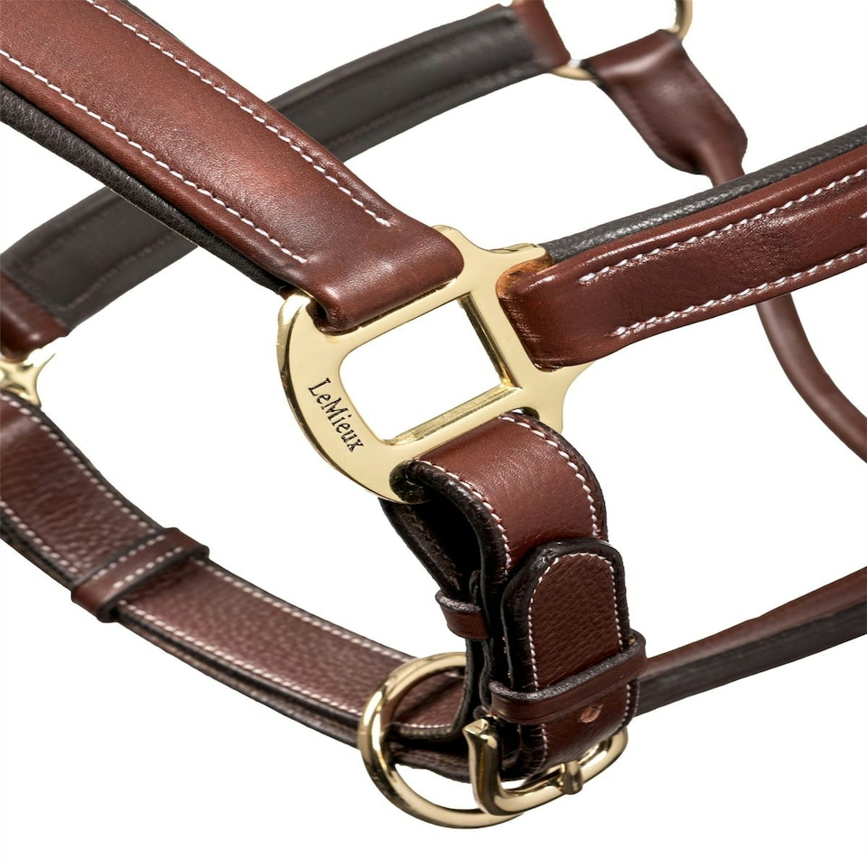 image 1 of LeMieux Stitched Leather Headcollar Brown | Full