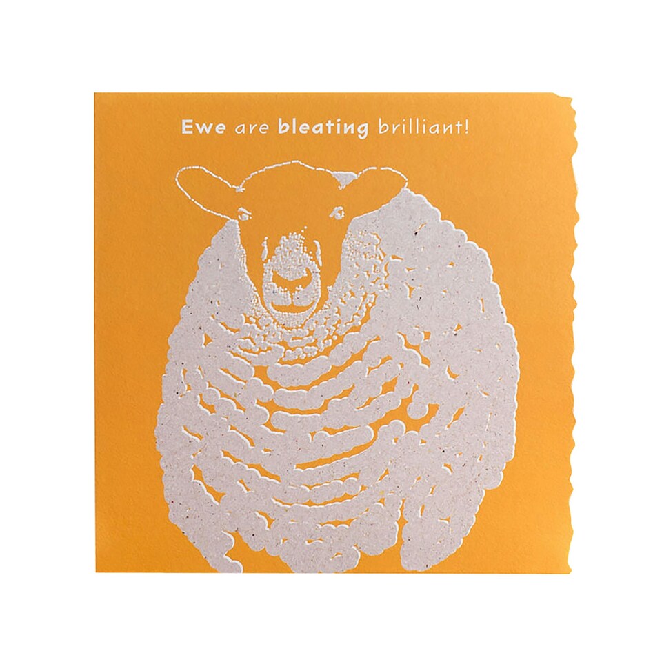image 1 of Deckled Edge Colour Block Animal Greetings Card - Ewe Are Bleating Brilliant - Sheep (Orange) - One Size