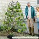 image 6 of COSTWAY 2 Pack Garden Trellis Metal Trellis for Climbing Plants