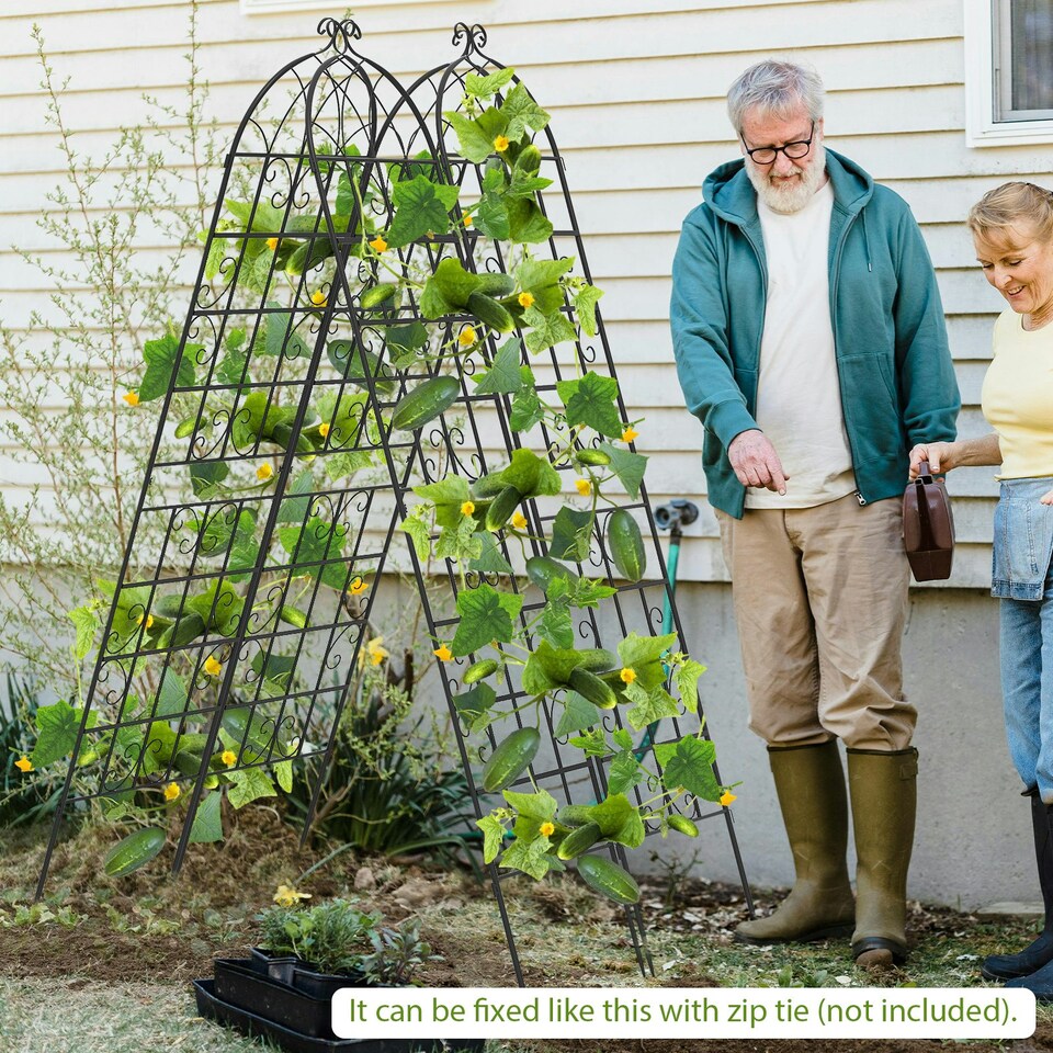image 1 of COSTWAY 2 Pack Garden Trellis Metal Trellis for Climbing Plants