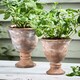 image 2 of Almeria Rustic Urn Planters Orange