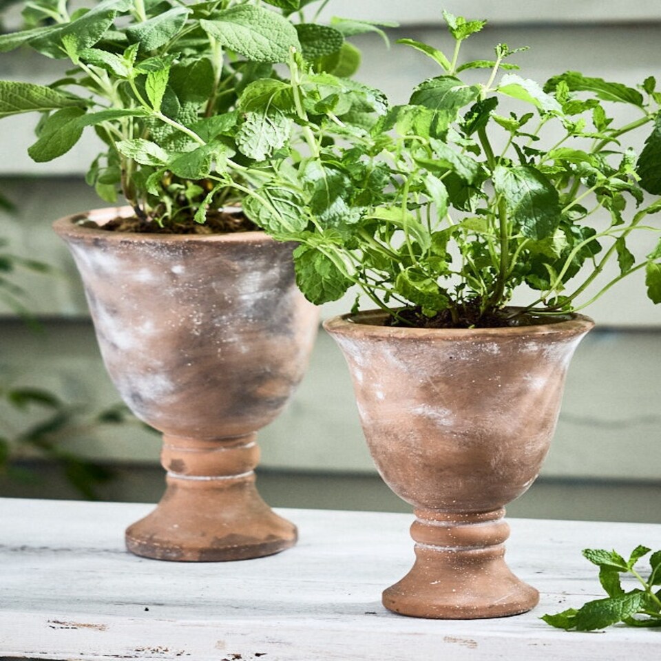 image 1 of Almeria Rustic Urn Planters Orange