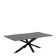 image 1 of Heaven Ceramic Coffee Table in Black