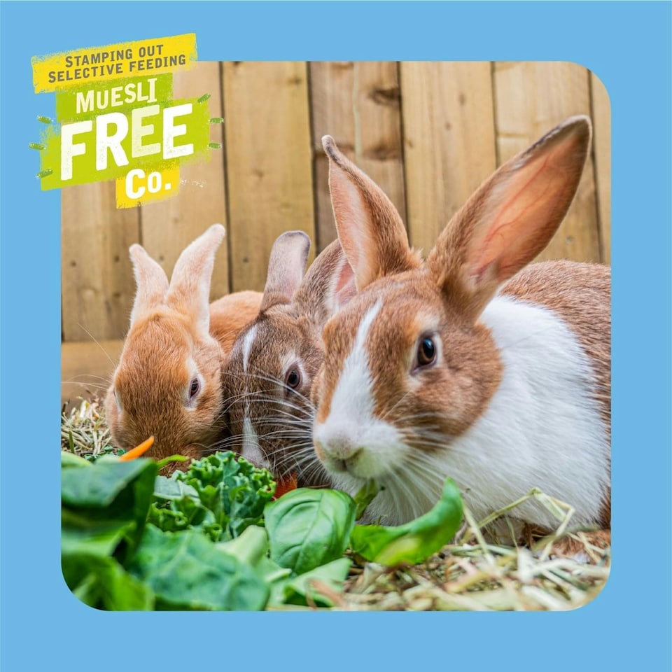 image 1 of Burgess Excel Junior & Dwarf Rabbit Nuggets With Mint - 10KG