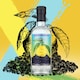 image 5 of Yuzu Gin That Boutique-y Gin Company | Clear
