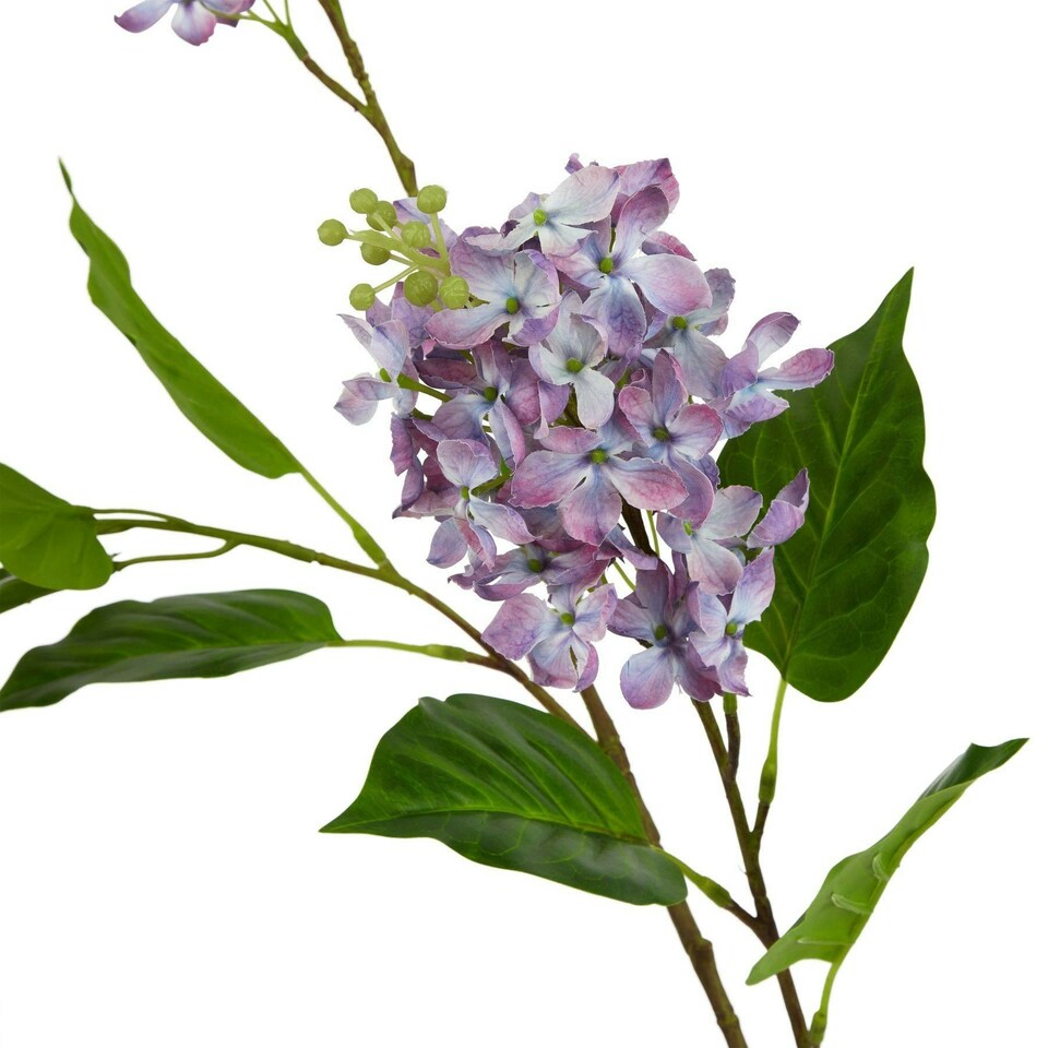 image 1 of Hill Interiors The Natural Garden Collection Lilac Artificial Flower - Purple - One Size