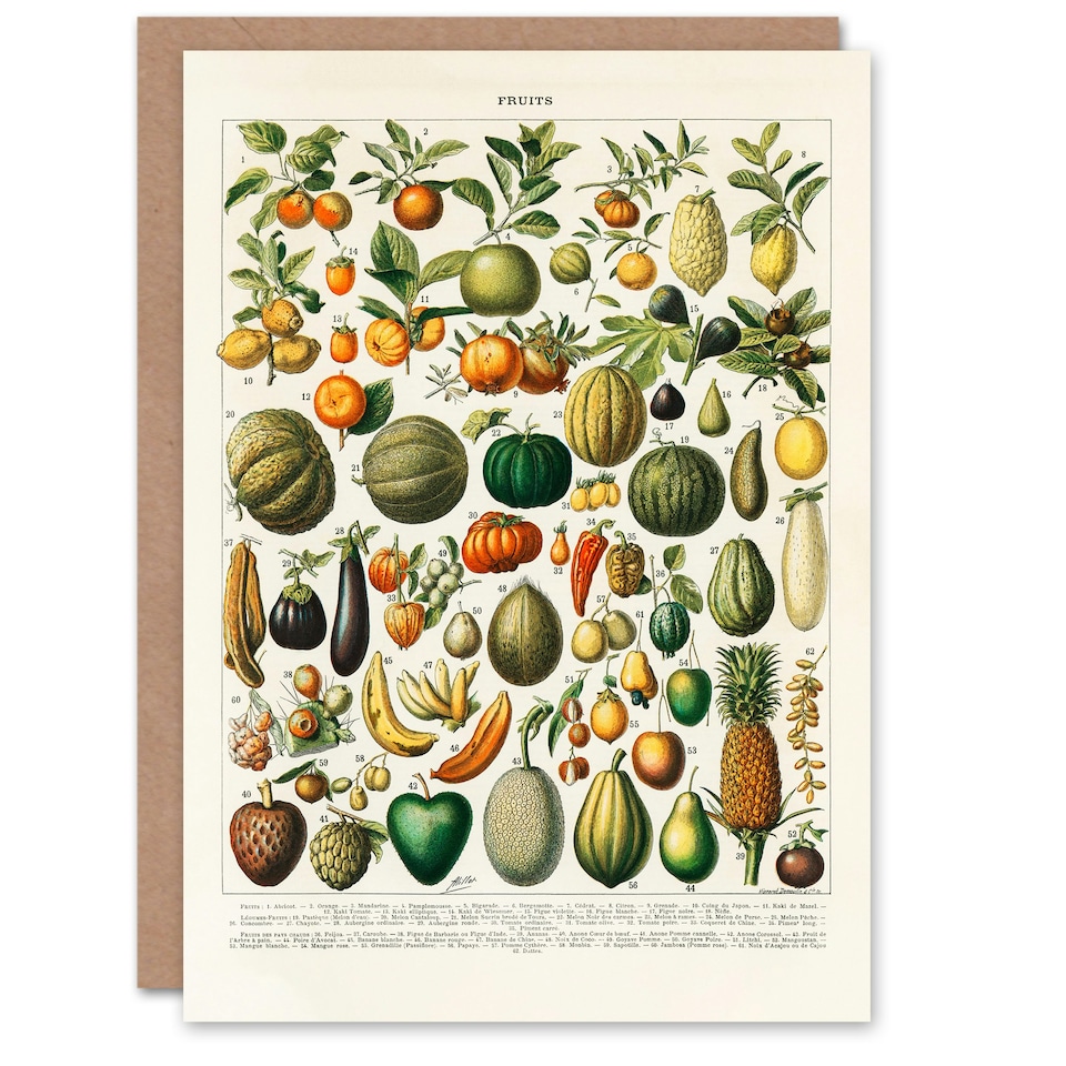 image 1 of Nouveau Larousse Illustre Art Card Fruits and Vegetables