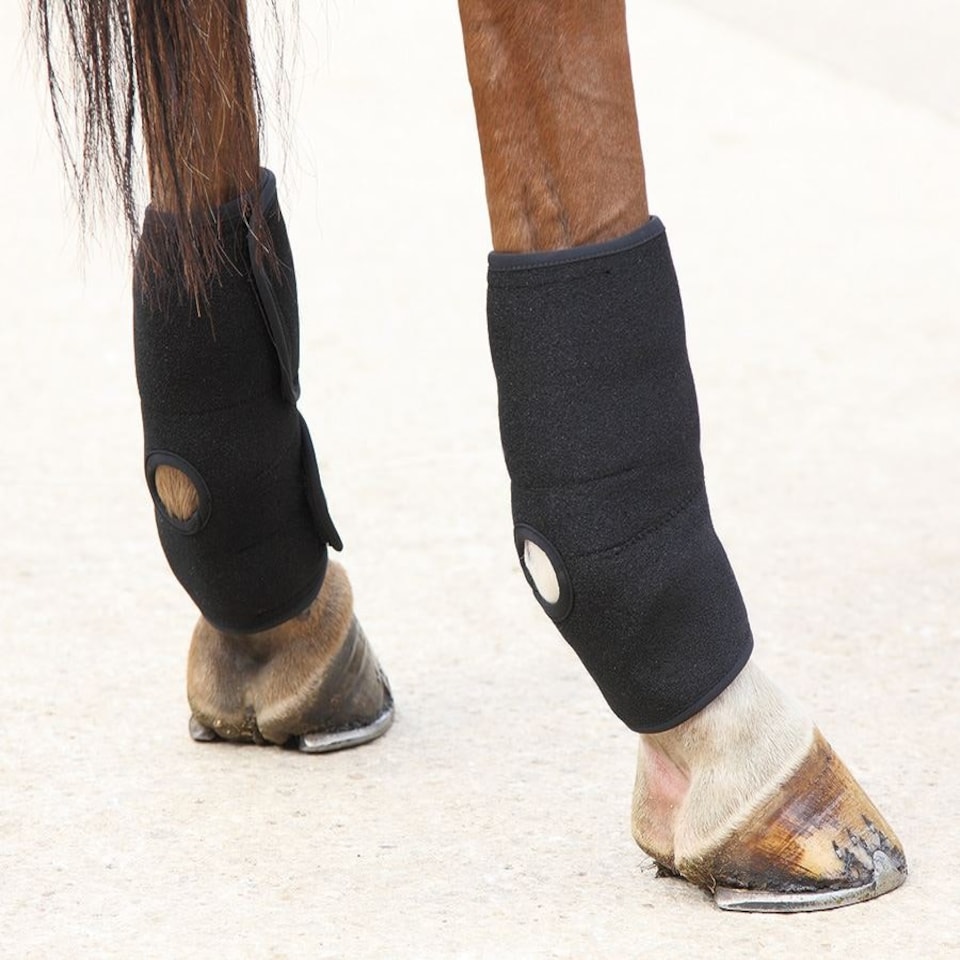 image 1 of Shires Hot/Cold Joint Relief Boots Black | Size: One Size
Colour: Black