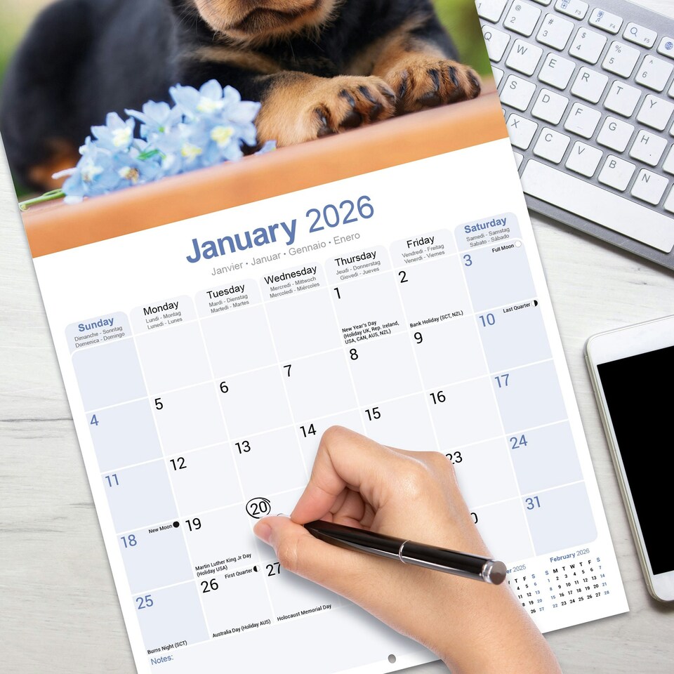 image 1 of Rottweiler Puppies 2026 Calendar | Square Wall Calendar | Dog Breed Gift | Plastic Free Packaging | by Avonside Publishing