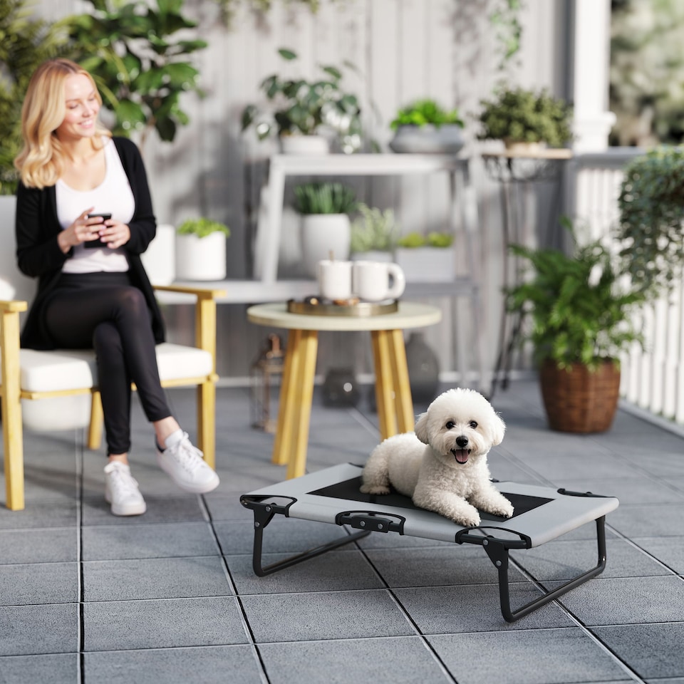 image 1 of PawHut Raised Dog Bed with Breathable Mesh for S & M Dogs, Light Grey | Grey | Light Grey | S