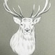 image 1 of Catherine Lansfield Stag Green Wallpaper Green | Green