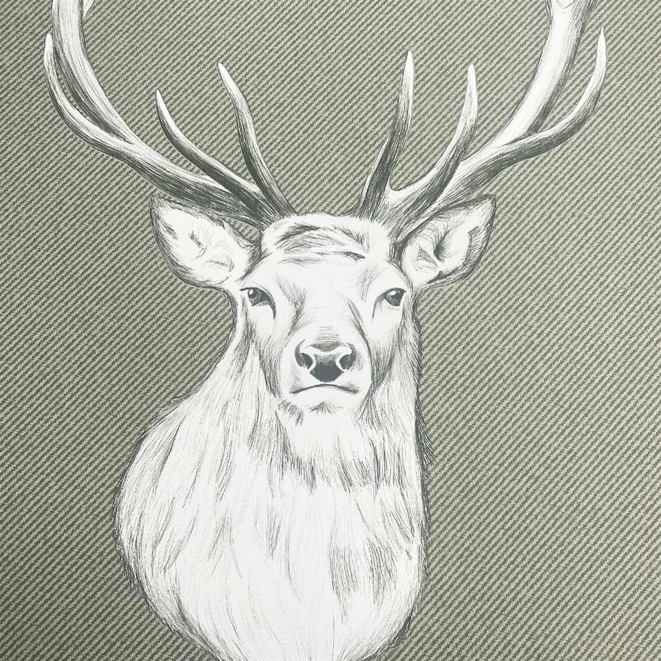 image 1 of Catherine Lansfield Stag Green Wallpaper Green | Green