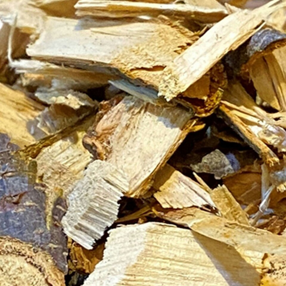 image 1 of Warma Apple BBQ Smoker Wood Chips - 1 Bag