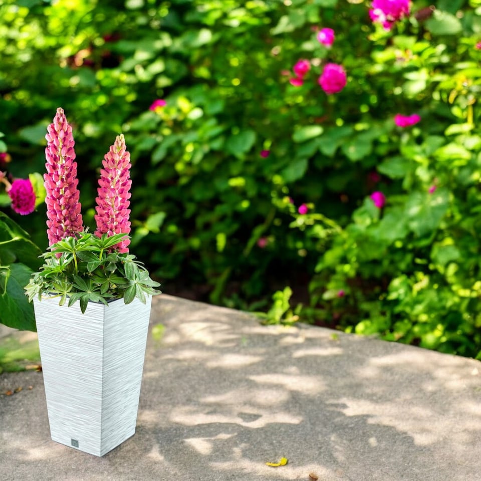 image 1 of FURU Square Tall Planters with Insert - 50x26.5x26.5 cm | White | 1