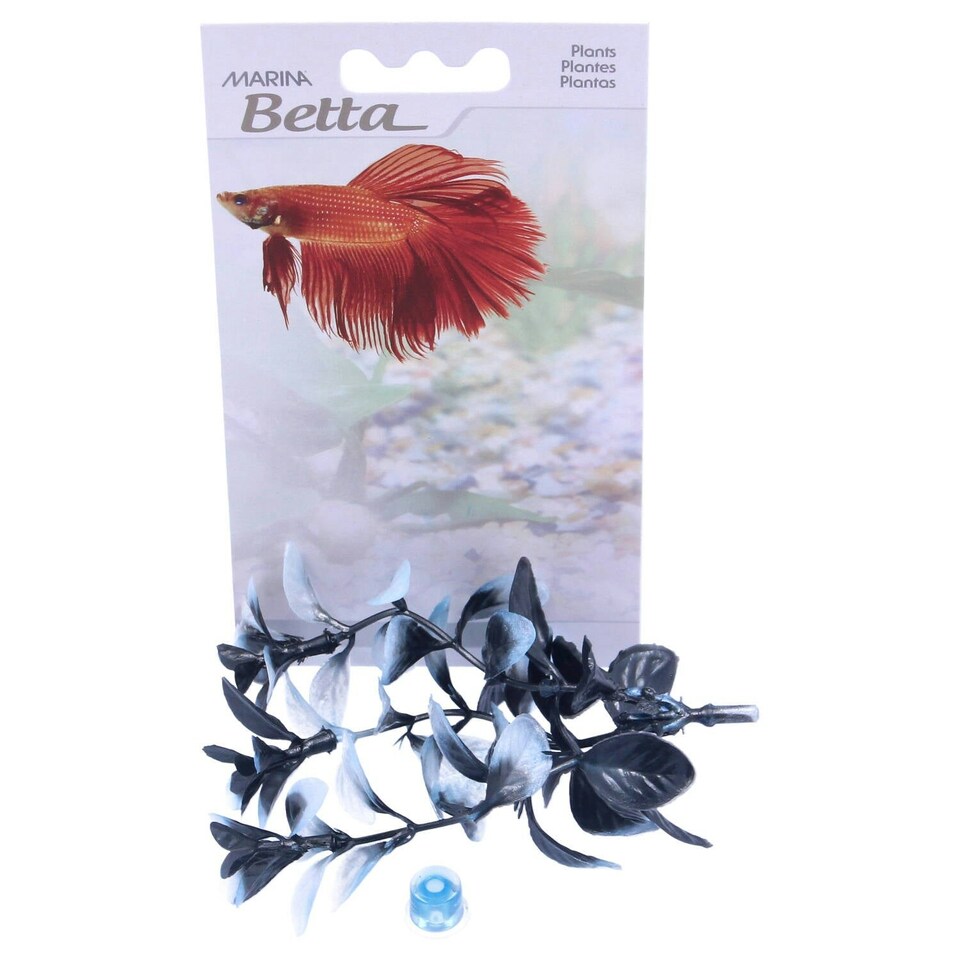 image 1 of Marina Betta Plant Red Ludwiga 12.7cm