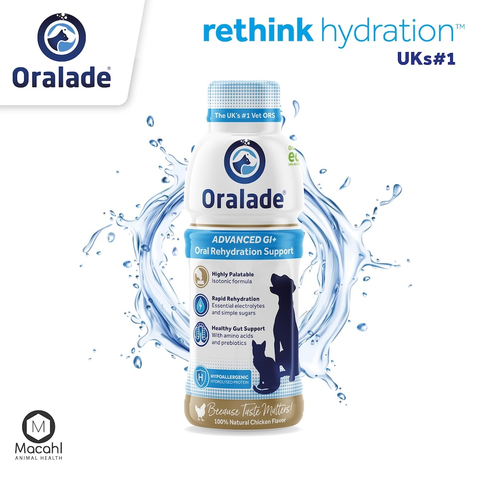 image 1 of Oralade Gi Support 500ml 3 Pack (3 x Single Bottles)