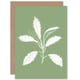 image 1 of White Green Exotic Leaves Just To Say Blank Art Card