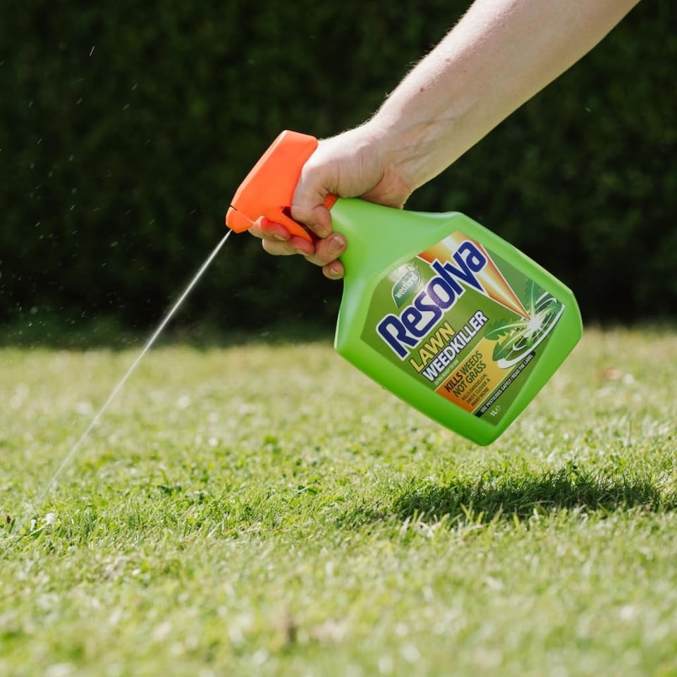 image 1 of Resolva Lawn Weedkiller Extra 1L RTU Ready to Use | Selective | Controls Dandelions, Clover & Plantain | Does Not Harm Grass | 1L RTU