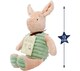 image 3 of Disney Piglet Plush Soft Toy Teddy Bear Baby Gift Winnie Pooh Rainbow Designs