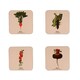 image 1 of RHS Benary Vegetables Set of 4 Coasters