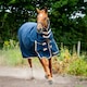 image 7 of Gallop Equestrian Trojan 100 Combo Turnout Red | Size: 4ft 9
Colour: Navy/Red