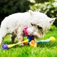 image 3 of K9Connectables Dog Toys - Yes Bone Large