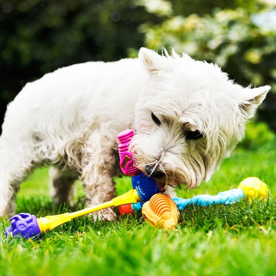 image 1 of K9Connectables Dog Toys - Yes Bone Large